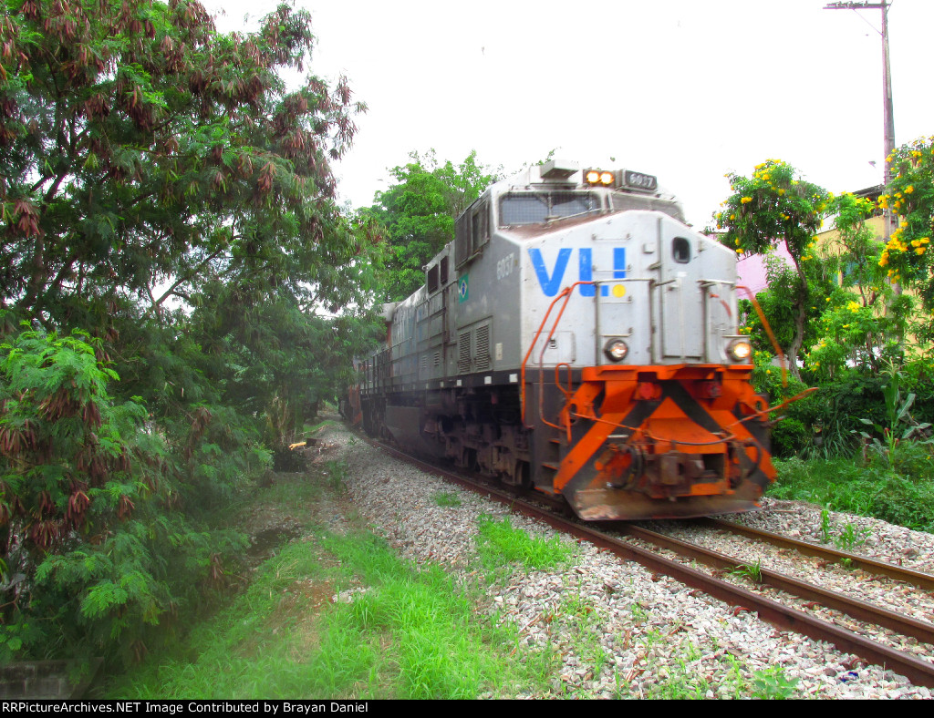 VLI 6037